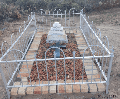 Engelsman Graf 2025C